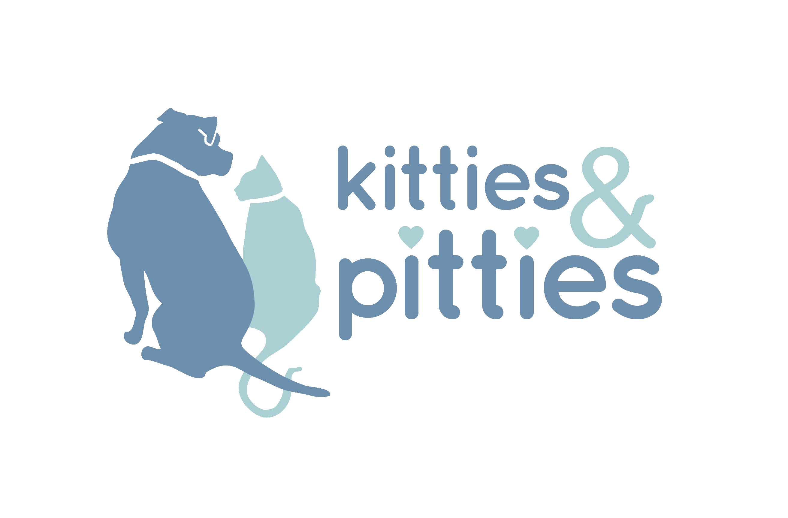 Adopt kitten Baltimore, adopt cat Baltimore